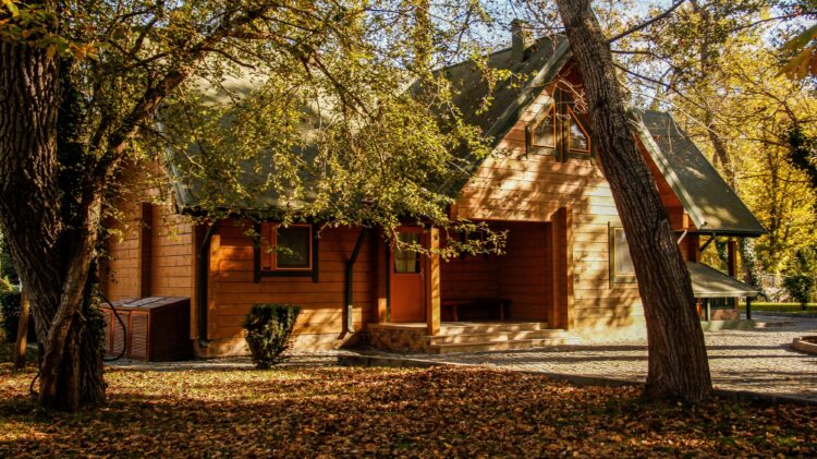 Effective Treatment Where Looks Matter image