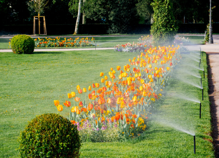 Garden Watering & Irrigation image